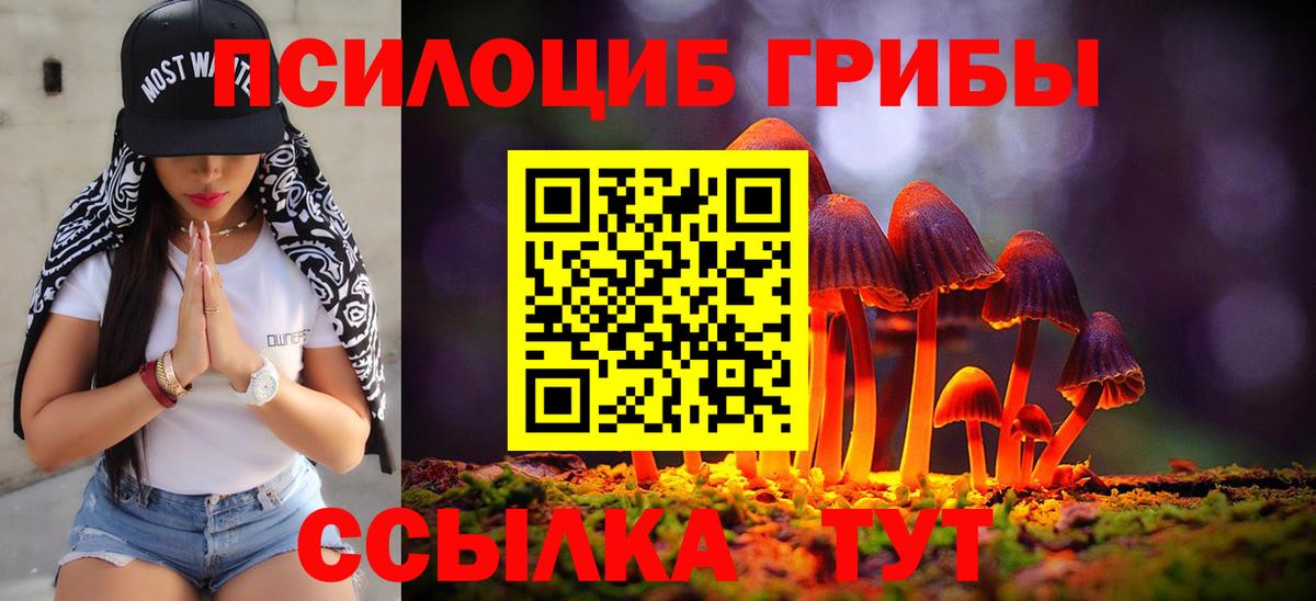 Алексеевка  Галлюциногенные грибы Cubensis  Вход с VPN 